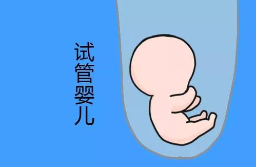 ICSI操作